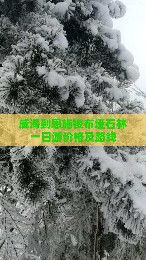 威海到恩施梭布垭石林一日游价格及路线