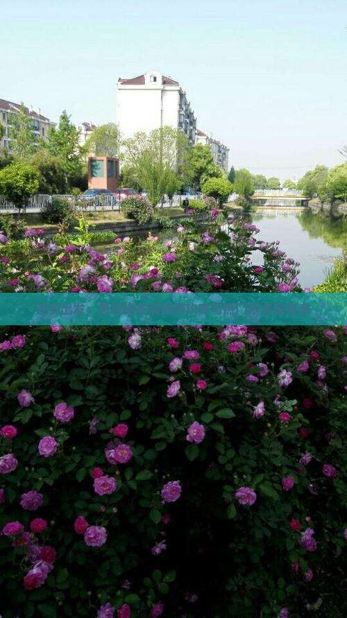 迁安出发：恩施腾龙洞旅游攻略与热门景点深度游
