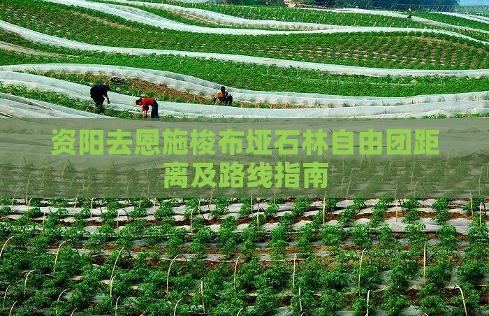 资阳去恩施梭布垭石林自由团距离及路线指南