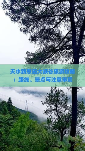 天水到恩施大峡谷旅游攻略：路线、景点与注意事项