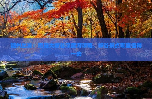 随州出发：恩施大峡谷深度游攻略，峡谷景点哪里值得一去