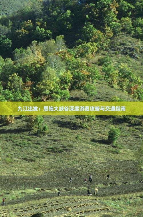 九江出发：恩施大峡谷深度游览攻略与交通指南