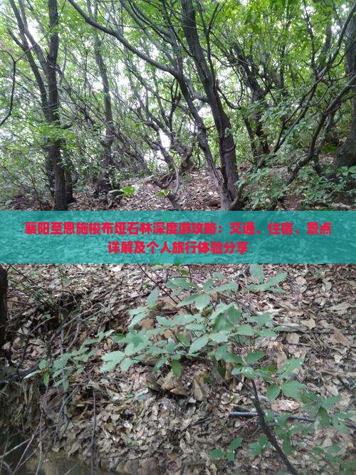襄阳至恩施梭布垭石林深度游攻略：交通、住宿、景点详解及个人旅行体验分享