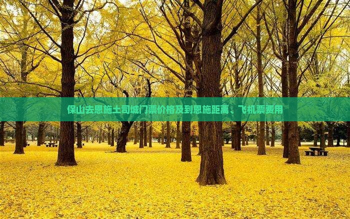 保山去恩施土司城门票价格及到恩施距离、飞机票费用