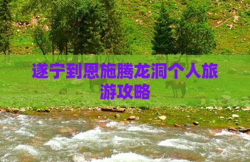遂宁到恩施腾龙洞个人旅游攻略
