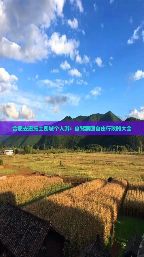 合肥去恩施土司城个人游：自驾跟团自由行攻略大全