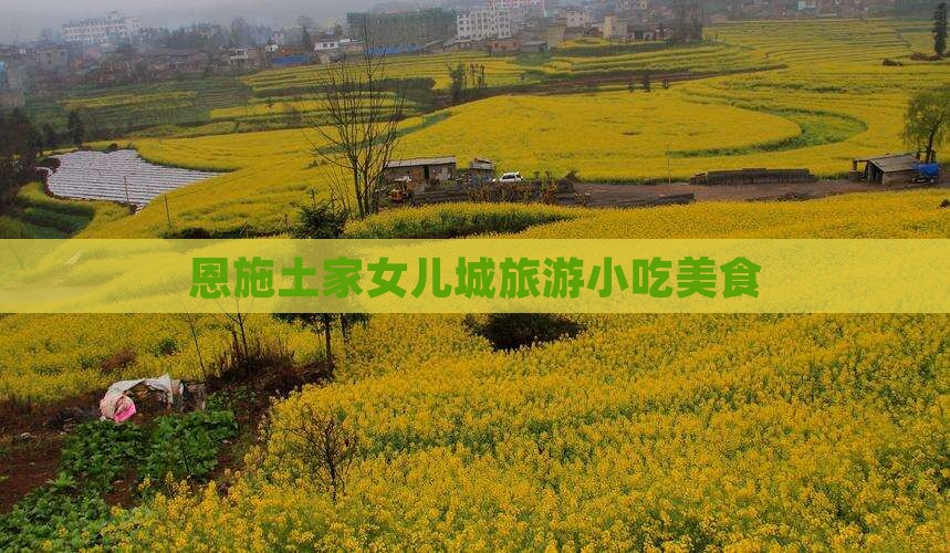 那曲到恩施土家女儿城旅游小吃