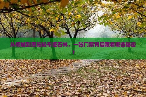桐城去恩施梭布垭石林门票