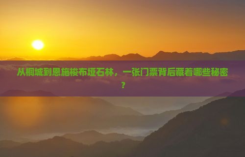 桐城去恩施梭布垭石林门票