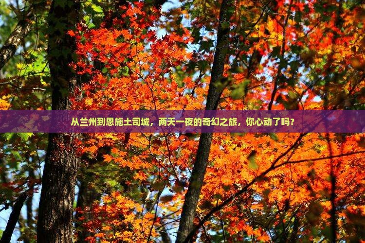 兰州去恩施土司城二日游