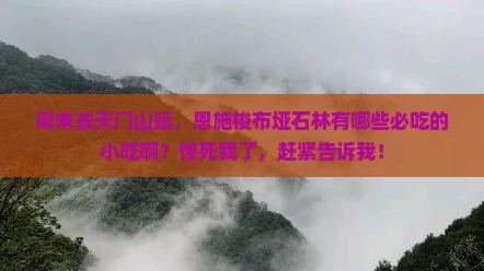 天门去恩施梭布垭石林旅游小吃