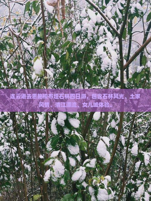 连云港去恩施梭布垭石林四日游