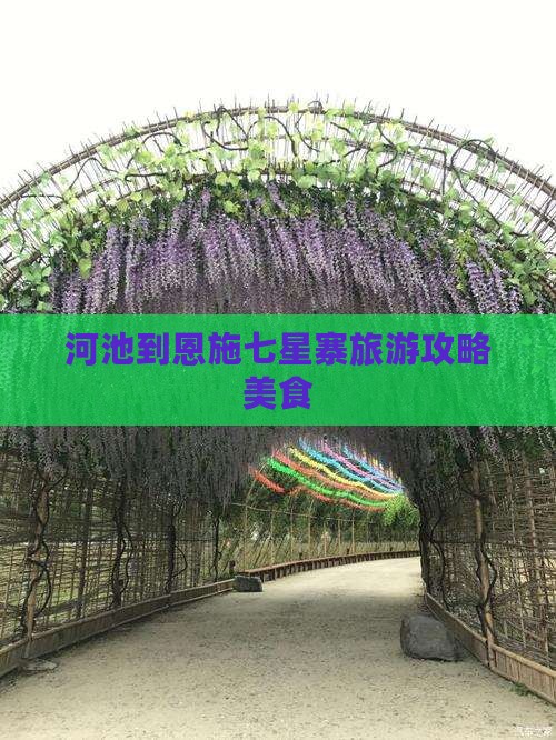 河池到恩施七星寨旅游小吃
