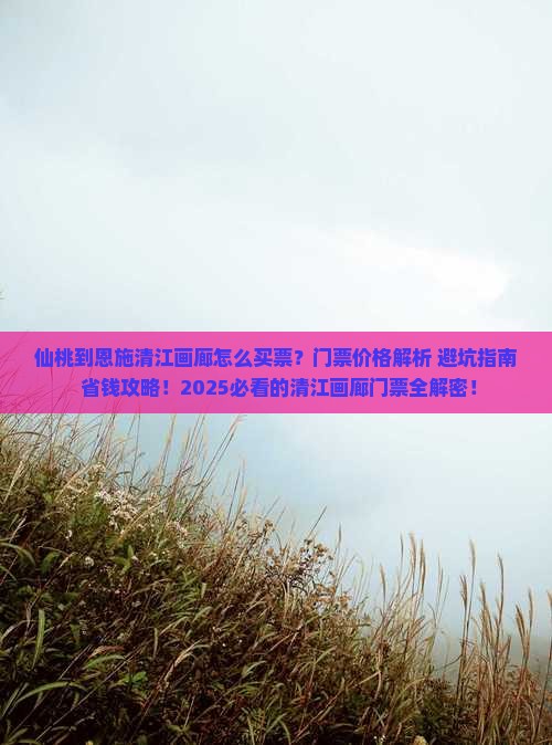 仙桃到恩施清江画廊门票
