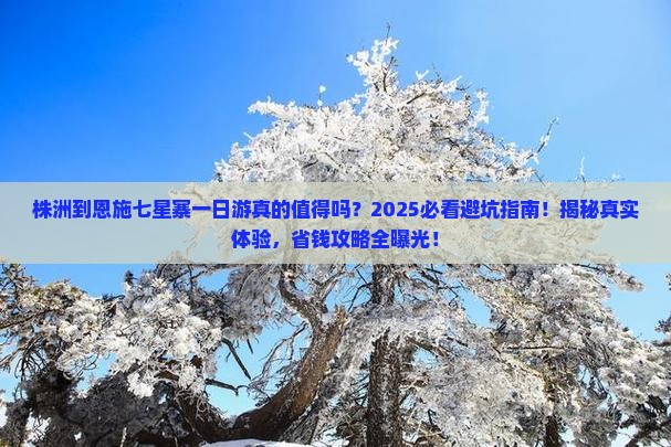 株洲到恩施七星寨一日