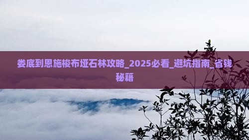 娄底到恩施梭布垭石林攻略