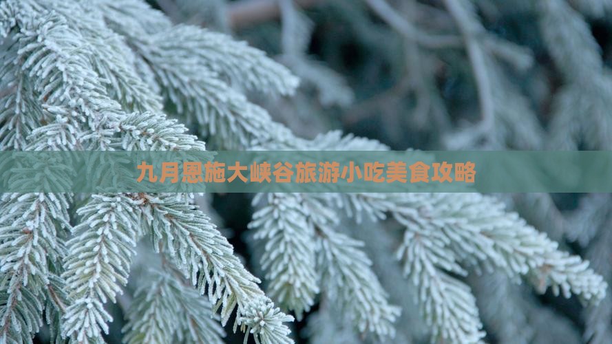 九月到恩施大峡谷旅游小吃