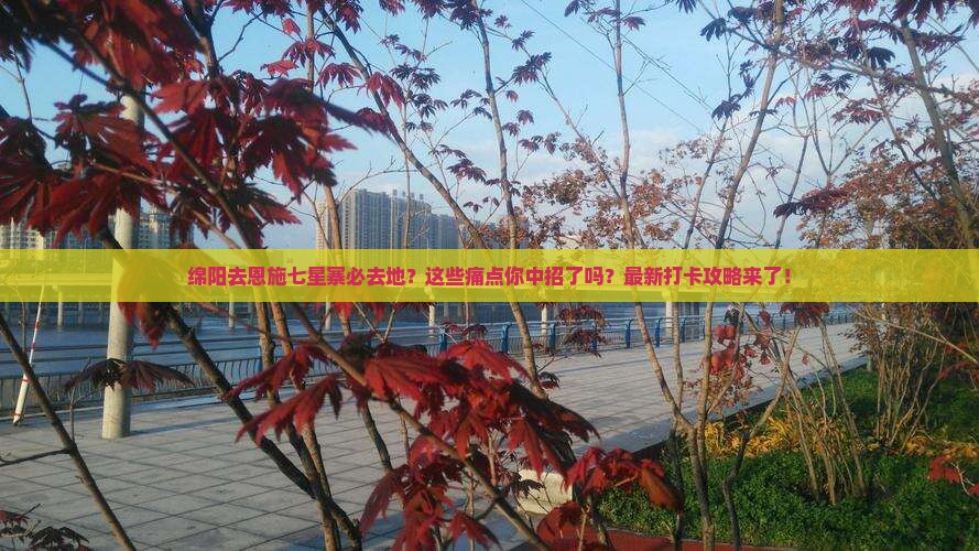 绵阳去恩施七星寨必去地