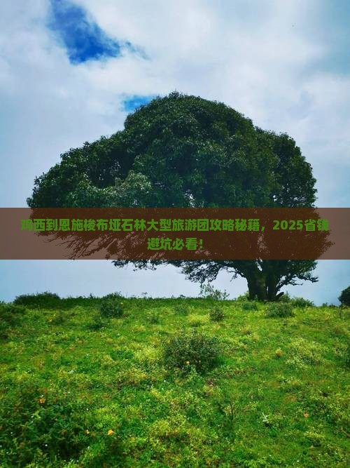 鸡西到恩施梭布垭石林大型旅游团