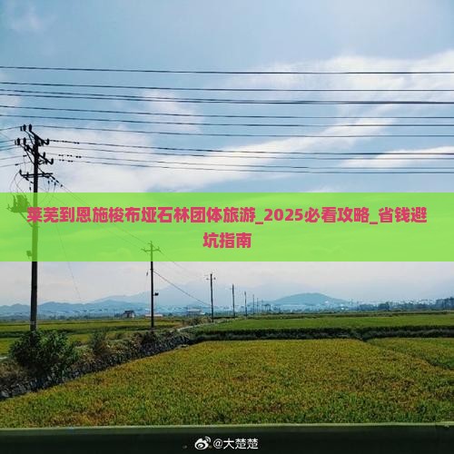 莱芜到恩施梭布垭石林团体旅游