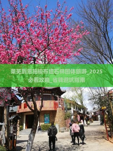 莱芜到恩施梭布垭石林团体旅游