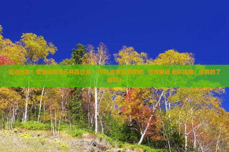 延边去恩施梭布垭石林四日游