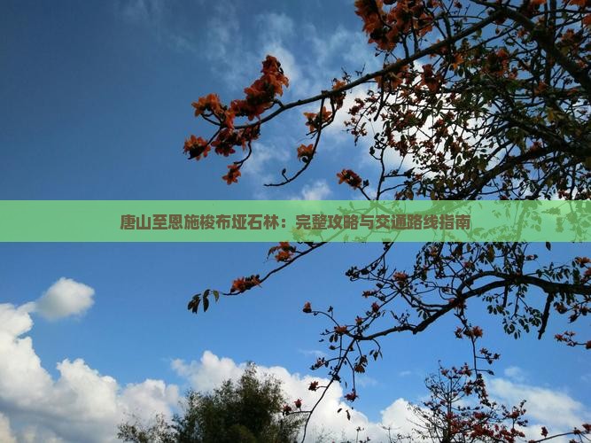 唐山至恩施梭布垭石林：完整攻略与交通路线指南