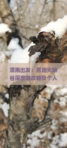 渭南出发：恩施大峡谷深度游攻略及个人旅行全指南