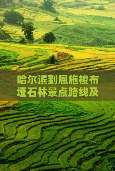 哈尔滨到恩施梭布垭石林景点路线及距离