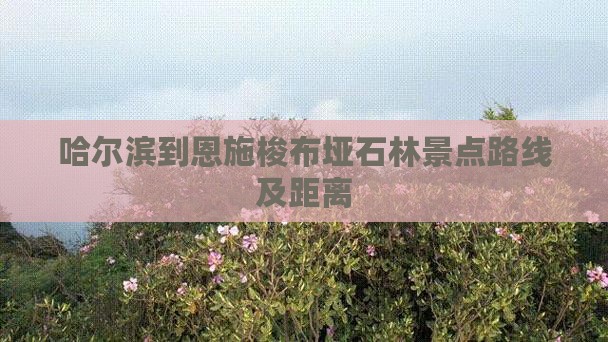 哈尔滨到恩施梭布垭石林景点路线及距离