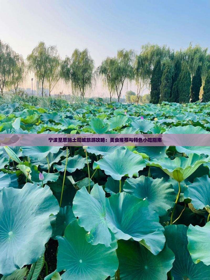 宁波至恩施土司城旅游攻略：美食推荐与特色小吃指南