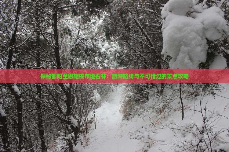 探秘邵阳至恩施梭布垭石林：旅游路线与不可错过的景点攻略
