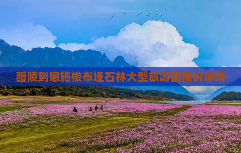 醴陵到恩施梭布垭石林大型旅游团报价详情