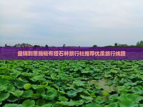 盘锦到恩施梭布垭石林旅行社推荐优质旅行线路