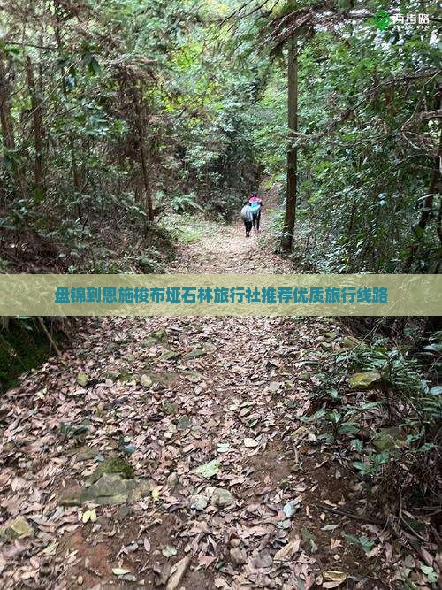 盘锦到恩施梭布垭石林旅行社推荐优质旅行线路