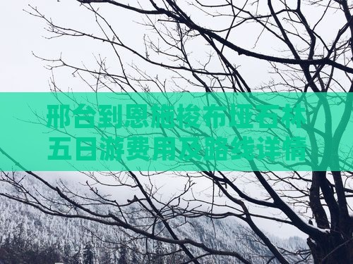 邢台到恩施梭布垭石林五日游费用及路线详情