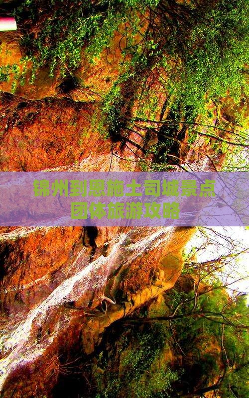 锦州到恩施土司城景点团体旅游攻略
