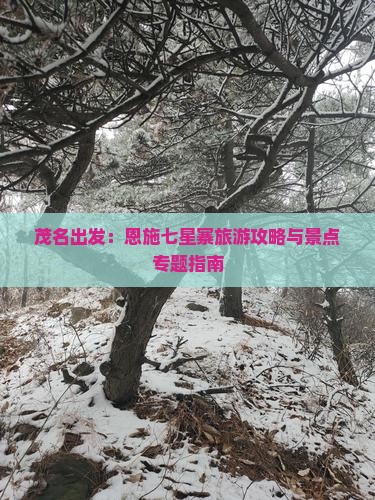 茂名出发：恩施七星寨旅游攻略与景点专题指南