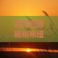 岳阳到恩施梭布垭石林旅行社距离及具体路线