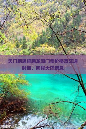 天门到恩施腾龙洞门票价格及交通时间、回程大巴信息