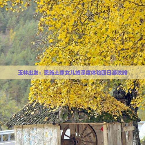 玉林出发：恩施土家女儿城深度体验四日游攻略