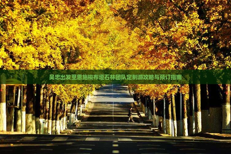 吴忠出发至恩施梭布垭石林团队定制游攻略与预订指南