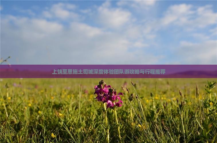 上饶至恩施土司城深度体验团队游攻略与行程推荐