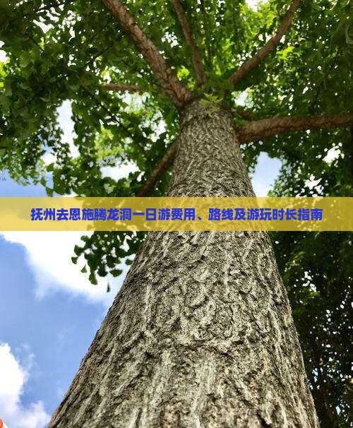 抚州去恩施腾龙洞一日游费用、路线及游玩时长指南