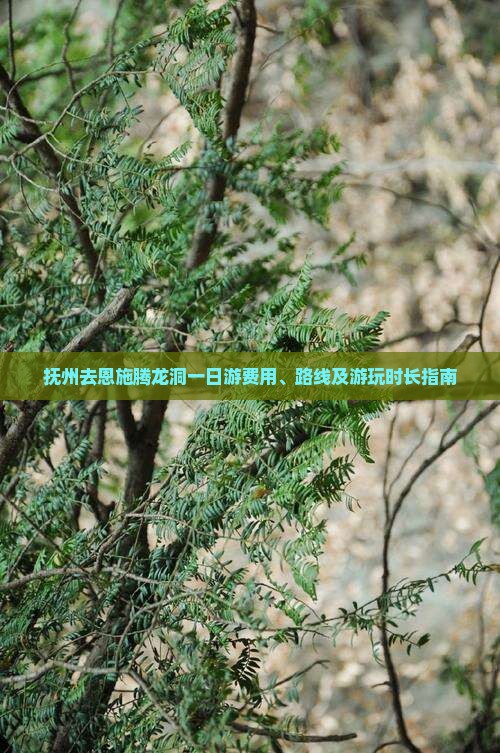抚州去恩施腾龙洞一日游费用、路线及游玩时长指南