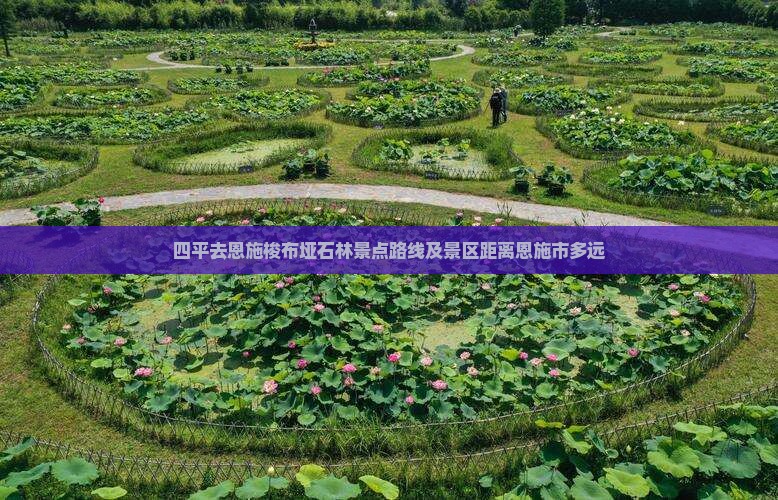 四平去恩施梭布垭石林景点路线及景区距离恩施市多远