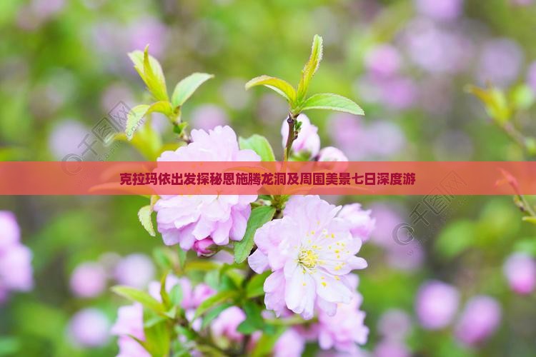 克拉玛依出发探秘恩施腾龙洞及周围美景七日深度游