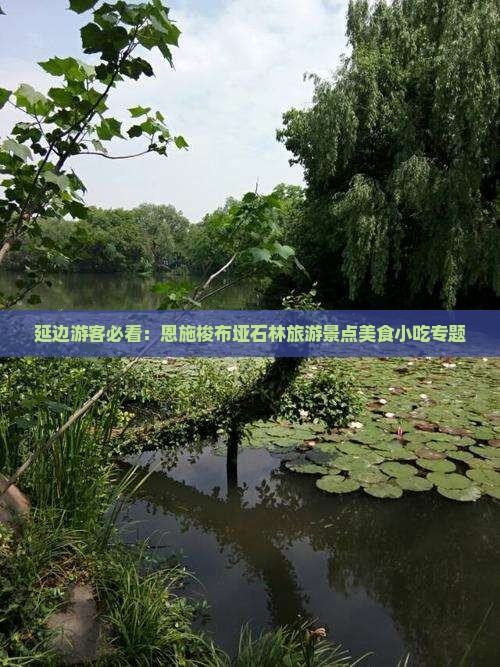延边游客必看：恩施梭布垭石林旅游景点美食小吃专题