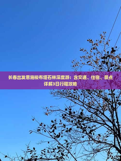 长春出发恩施梭布垭石林深度游：含交通、住宿、景点详解3日行程攻略