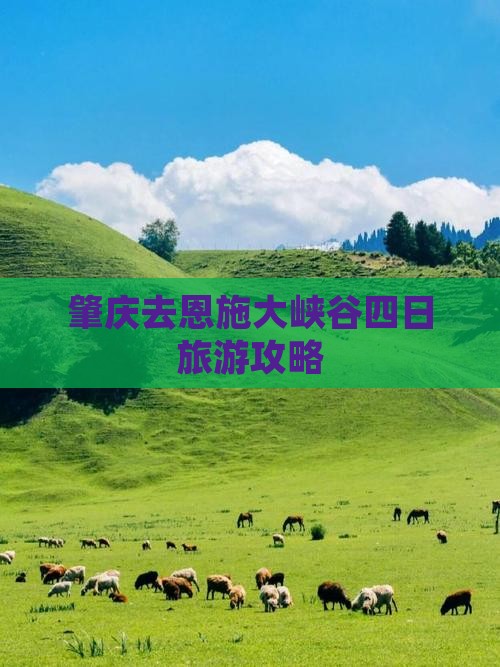 肇庆去恩施大峡谷四日旅游攻略